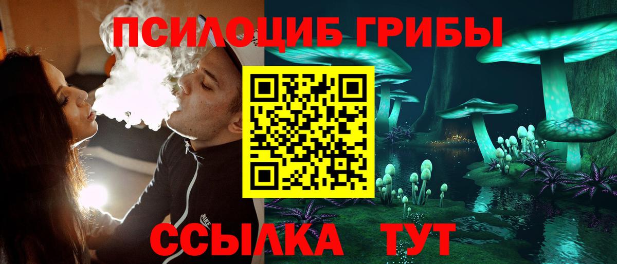 Псилоцибиновые грибы Psilocybine cubensis  Вход с VPN  Людиново  Псилоцибиновые грибы мухоморы 